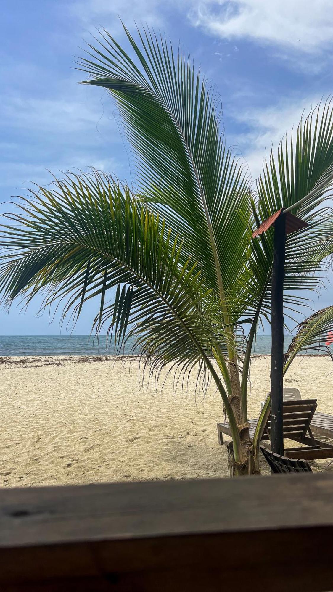 Hostal Mocambo Beach Guachaca Ngoại thất bức ảnh